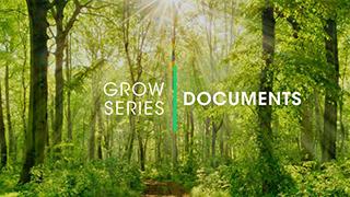 D.1.4 - Grow Documents