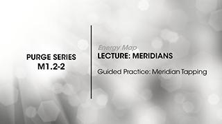 M1.2-2 Energy Map: The Meridians