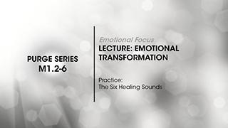 M1.2-6 Emotional Transformation