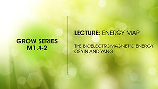 M1.4-2 Bioelectromagnetic Energy