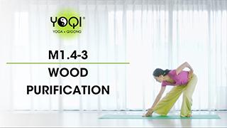 M1.4-3 Wood Purification