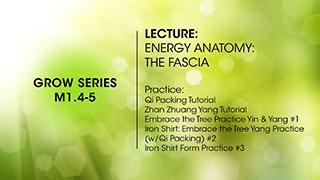 M1.4-5 Energy Anatomy: The Fascia