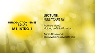 M1.Intro-1 Feel Your Qi
