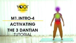 M1.Intro-4 Activating the 3 Dantian Tutorial