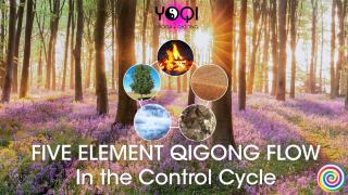 5 Element Control Cycle