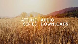 D.1.1 - Attune Audio Downloads