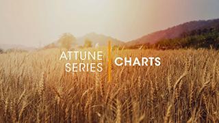 D.1.1 - Attune Charts