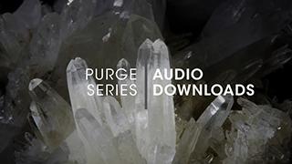 D.1.2 - Purge Audio Downloads