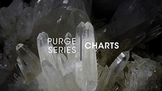 D.1.2 - Purge Charts