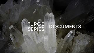 D.1.2 - Purge Documents