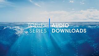 D.1.3 - Tonify Audio Downloads