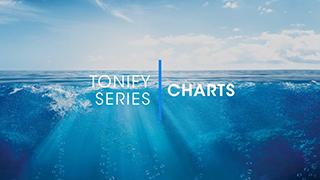 D.1.3 - Tonify Charts