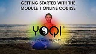 Getting Started with the Online Course