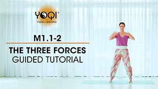 M1.1-2 The Three Forces Guided Tutorial