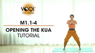 M1.1-4 Opening the Kua Tutorial