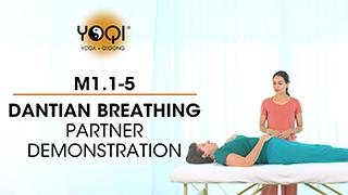 M1.1-5 Dantian Breathing Partner Demonstration