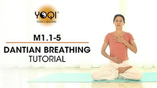 M1.1-5 Dantian Breathing Tutorial