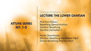 M1.1-5 Energy Anatomy - Dantian Breathing