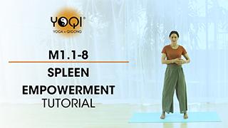 M1.1-8 Spleen Empowerment Tutorial