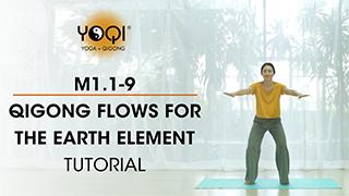 M1.1-9 Qigong Flows for the Earth Element Tutorial