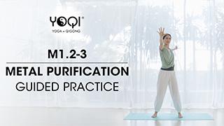 M1.2-3 Metal Purification Guided Practice