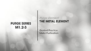 M1.2-3 The Metal Element