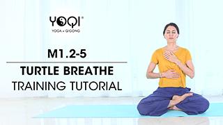 M1.2-5 Turtle Breathe Training Tutorial