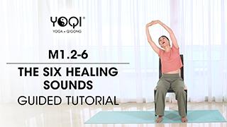 M1.2-6 The Six Healing Sounds Guided Tutorial