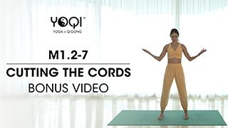 M1.2-7 Bonus Video: Cutting the Cords