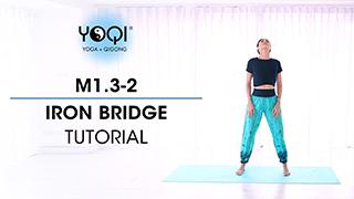 M1.3-2 Iron Bridge Tutorial