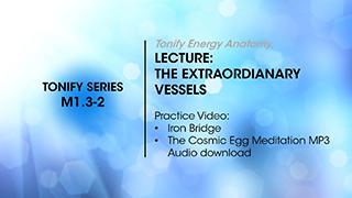 M1.3-2 The Extraordinary Vessels