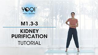 M1.3-3 Kidney Purification Tutorial