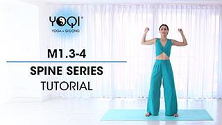 M1.3-4 Spine Series Tutorial