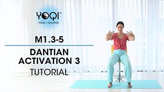 M1.3-5 Dantian Activation 3 Tutorial