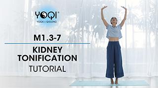 M1.3-7 Kidney Tonification Tutorial