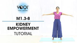 M1.3-8 Kidney Empowerment Tutorial