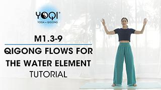 M1.3-9 Qigong Flows for the Water Element Tutorial