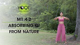 M1.4-2 Absorbing Qi from Nature