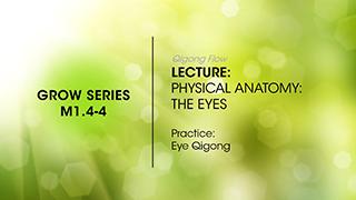 M1.4-4 Anatomy of Growth - The Eyes