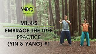 M1.4-5 Embrace The Tree Practice (Yin & Yang) #1