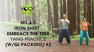 M1.4-5 Iron Shirt : Embrace the Tree Yang Practice (W/Qi Packing) #2