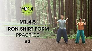 M1.4-5 Iron Shirt Form Practice #3