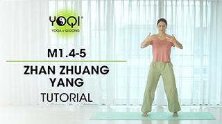 M1.4-5 Zhan Zhuang Yang Tutorial