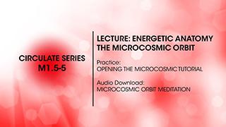 M1.5-5 Energetic Anatomy the Microcosmic Orbit