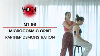 M1.5-5 Microcosmic Orbit Partner Demonstration