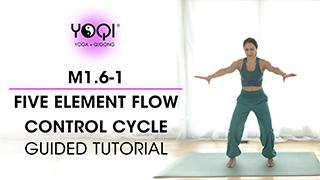 M1.6-1 Five Element Control Cycle