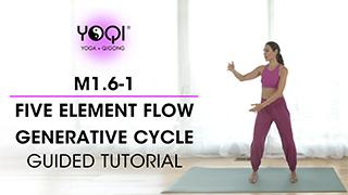 M1.6-1 Five Element Flow Generative Cycle