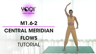 M1.6-2 Central Meridian Flows Tutorial