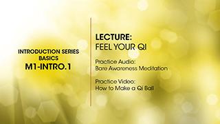 M1.Intro-1 Feel Your Qi