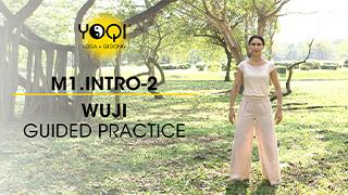 M1.Intro-2 Wuji Guided Practice